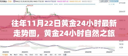 往年11月22日黄金24小时走势回顾，追寻宁静与美景的足迹自然之旅揭秘