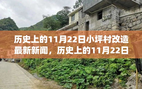 历史上的11月22日小坪村改造最新动态深度解析，特性、体验、竞品对比与用户洞察