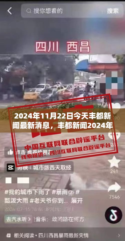 丰都新闻最新动态，掌握获取与分析新闻资讯的全面技能——2024年11月22日