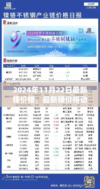 2024年11月22日镍市场走势分析，最新价格与动态聚焦