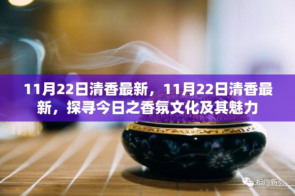 探寻今日香氛文化的魅力，11月22日清香最新资讯