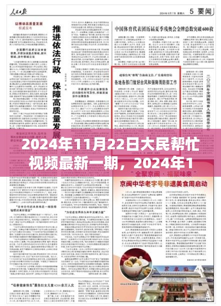 深度解析与案例分享，大民帮忙视频最新一期（2024年11月22日）