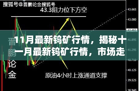 揭秘11月最新钨矿行情，市场走势、产业分析与展望