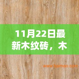 最新木纹砖趋势，历史脉络、进展与时代地位