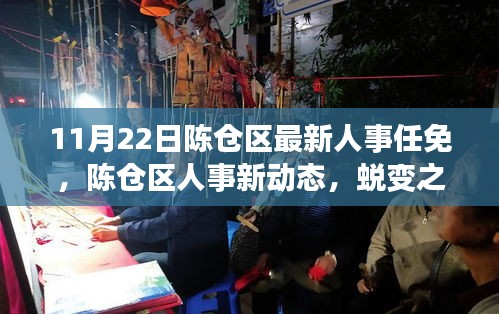 陈仓区人事任免新动态，蜕变之舞，共舞变化，自信铸就未来