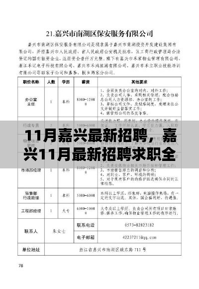 嘉兴11月求职招聘全攻略，顺利找到心仪工作的步骤指南