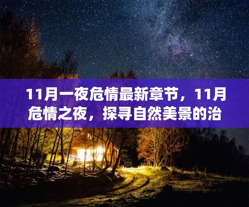 探寻自然美景的治愈之旅，11月危情之夜的最新章节与内心宁静的追寻