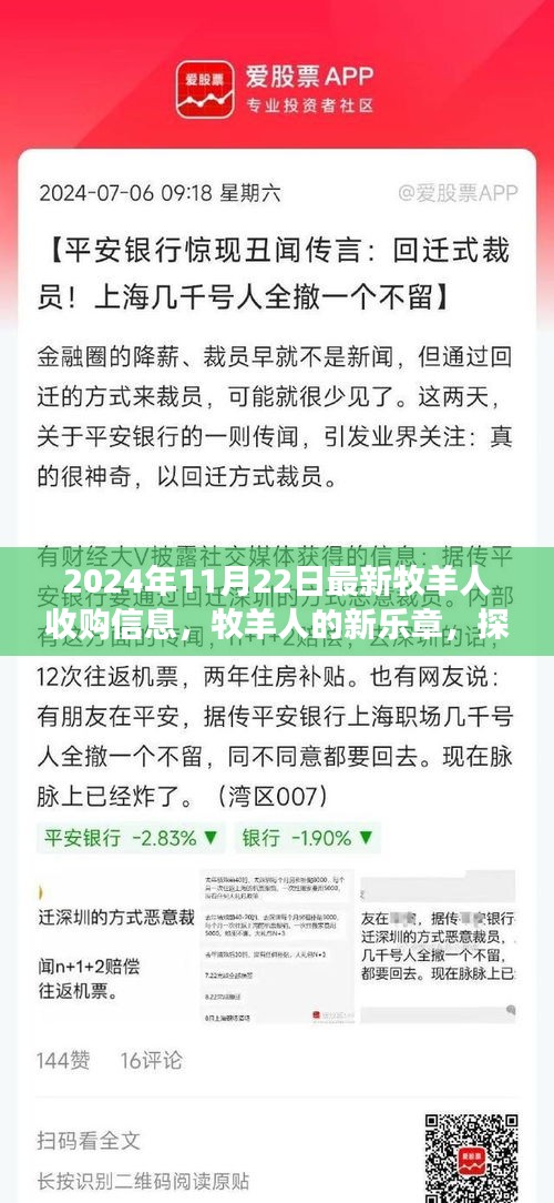 2024年最新牧羊人收购信息，开启自然探索之旅，寻觅心灵宁静