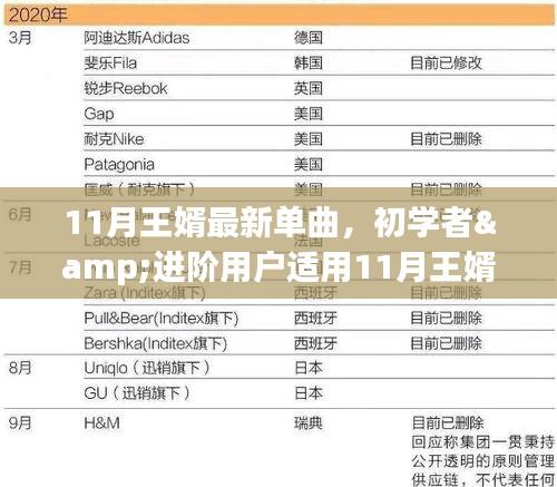 11月王婿最新单曲指南，初学者与进阶用户的获取与欣赏步骤