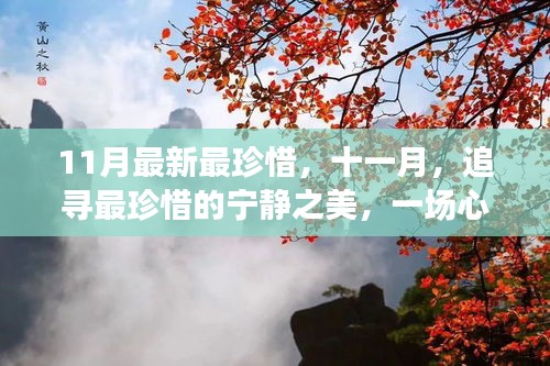 十一月心灵与自然的奇妙之旅，追寻最珍惜的宁静之美