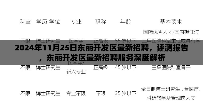 东丽开发区最新招聘评测报告，深度解析招聘服务与优势（2024年11月25日）