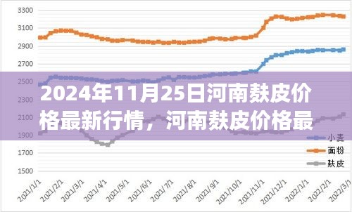 2024年11月25日河南麸皮价格行情分析与探讨