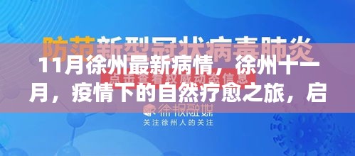 徐州十一月疫情下的自然疗愈之旅，寻找内心的宁静绿洲