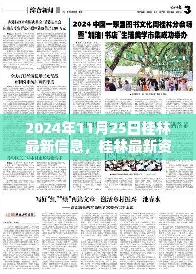 2024年11月25日桂林最新资讯速递与动态概览