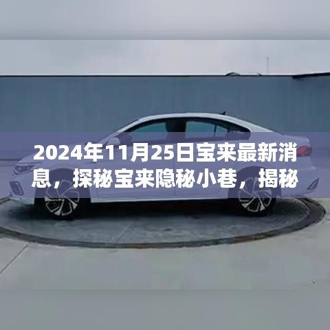 探秘宝来隐秘小巷，揭秘特色小店新动态，宝来最新消息速递（2024年11月25日）