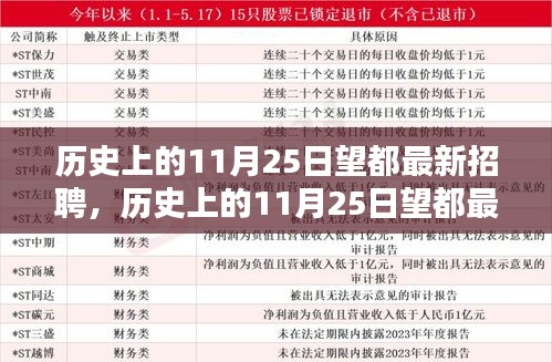 历史上的11月25日望都最新招聘深度解析与介绍