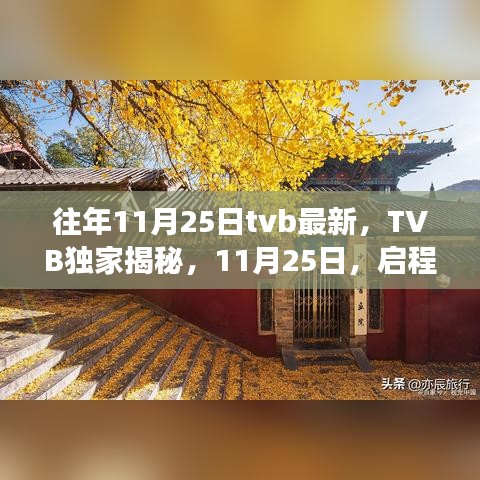 TVB独家揭秘，启程自然美景之旅，寻找内心的宁静与平和（11月25日最新节目）