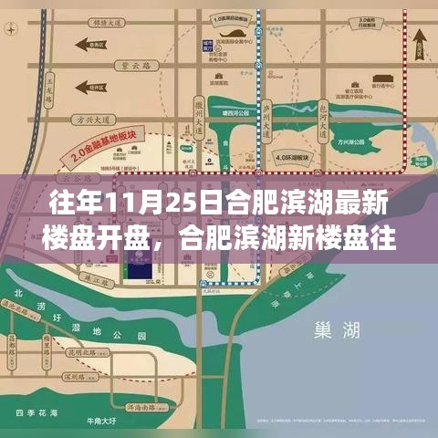 合肥滨湖新楼盘11月25日开盘测评报告，全面解析与评估