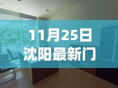 沈阳热门门市租赁信息更新，深度解析热门商铺租赁市场