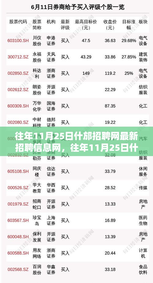 往年11月25日什邡招聘网最新招聘信息全面解析与评测