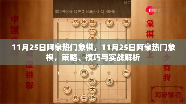 11月25日阿豪热门象棋，策略、技巧与实战解析详解当日象棋热潮的秘籍与实战指南