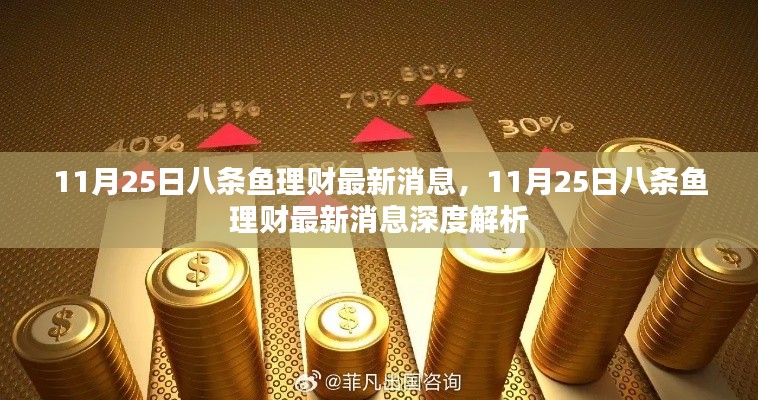 11月25日八条鱼理财最新消息深度解析与解读