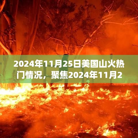 聚焦热点，深度剖析与立场探讨——2024年11月25日美国山火热门情况