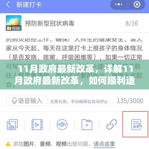 详解11月政府最新改革，适应新政策与技能学习指南