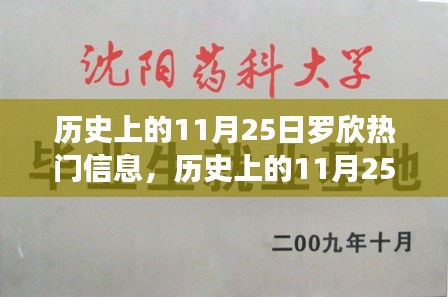 探寻罗欣背后的热门信息，历史上的11月25日揭秘