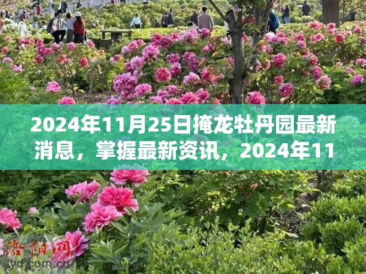 掩龙牡丹园最新消息全攻略，掌握最新资讯，揭秘最新动态