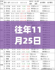 往年11月25日记票大选，学习之光照亮变化与成长之路