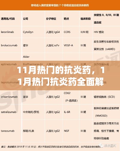 11月热门抗炎药的全面解析与个人观点分享