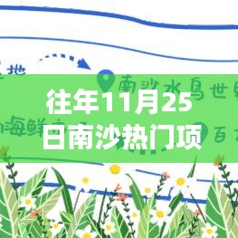 南沙秘境探秘之旅，热门宝藏店探秘与小巷深处的惊喜发现（11月25日）