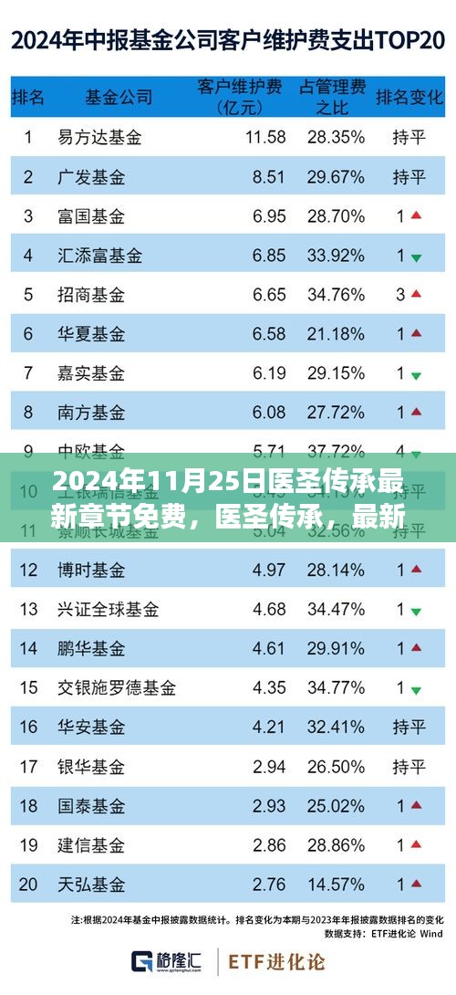 医圣传承最新章节免费阅读深度分析与用户体验（XXXX年最新）