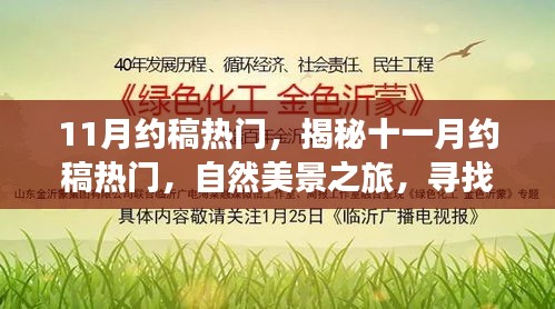 揭秘十一月约稿热门，自然美景之旅，探寻内心平和宁静之道