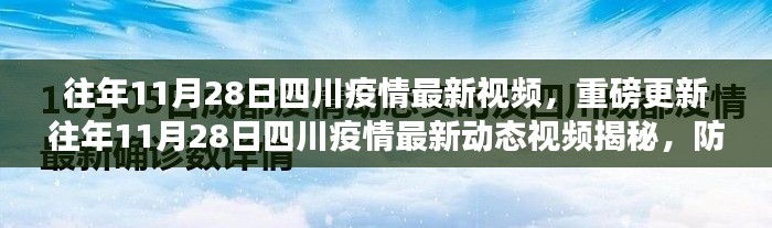 重磅揭秘，往年11月28日四川疫情最新动态视频与防疫措施详解！