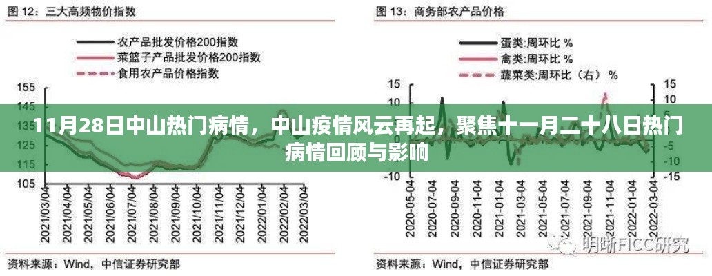 中山疫情再起风云，十一月二十八日热门病情回顾与影响