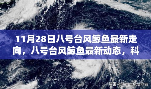 科技巨眼下的气象新纪元，八号台风鲸鱼最新动态与走向追踪（11月28日更新）