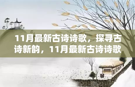 探寻古诗新韵，11月最新古诗探析