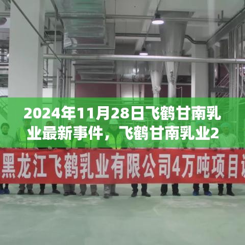 2024年11月28日飞鹤甘南乳业最新事件，飞鹤甘南乳业2024年11月28日事件，深入了解乳业最新动态与参与策略