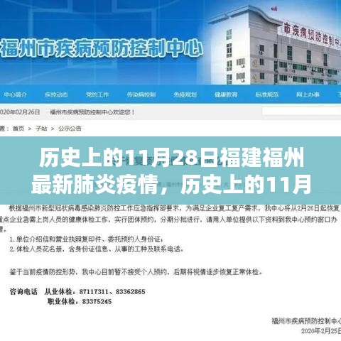 历史上的11月28日福建福州最新肺炎疫情，历史上的11月28日福建福州疫情回顾，最新肺炎疫情分析