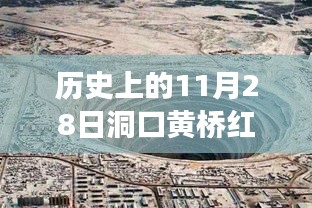 历史上的11月28日，洞口黄桥红网事件最新解读与消息速递