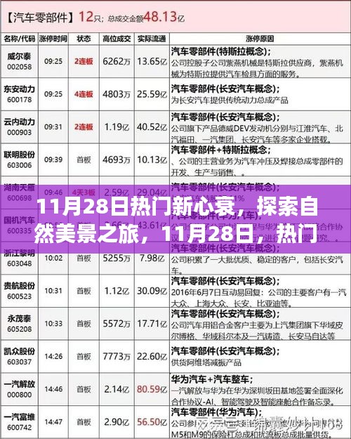 11月28日热门新心衰之旅，心灵启程，自然美景探索之旅