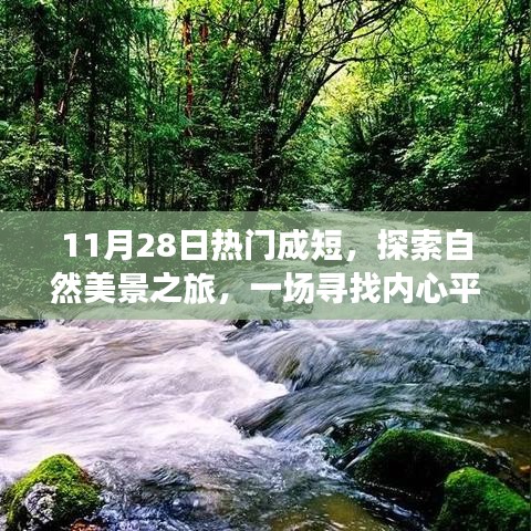 11月28日热门短途自然探索之旅，追寻内心平静的奇妙旅程