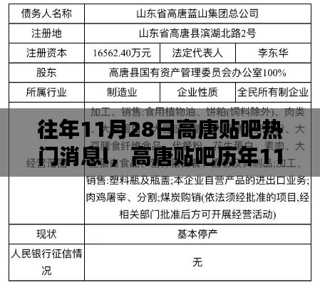 高唐贴吧历年11月28日热门消息回顾与深度探讨某一观点