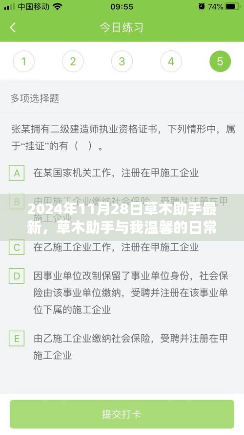 草木助手，温馨日常与特别回忆的交织——2024年11月28日的印记