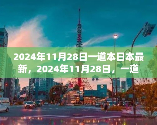 2024年11月28日日本最新科技动态探索之旅