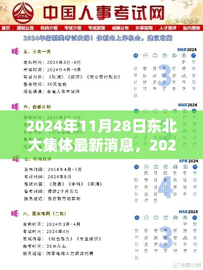 2024年东北大集体最新消息全面评测与介绍