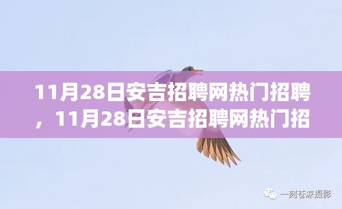 11月28日安吉招聘网热门职位一览，变化与学习的光芒