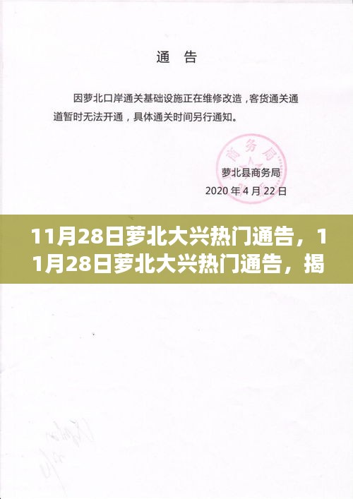 2024年12月2日 第14页